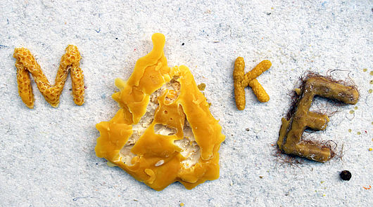 Material of the Month: Beeswax
