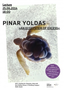 Poster Lecture Pinar Yoldas 25.6 S