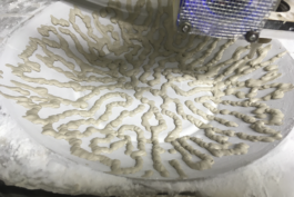 burg giebichenstein kunsthochschule halle  industrial design experimental design methods