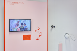 burg giebichenstein kunsthochschule halle  industrial design experimental design methods