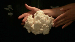 burg giebichenstein kunsthochschule halle  industrial design experimental design methods