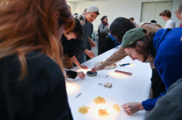 burg giebichenstein kunsthochschule halle  industrial design experimental design methods