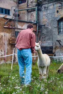 burg giebichenstein kunsthochschule halle industrial design experimental design methods