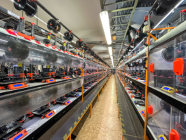 burg giebichenstein kunsthochschule halle industrial design experimental design methods