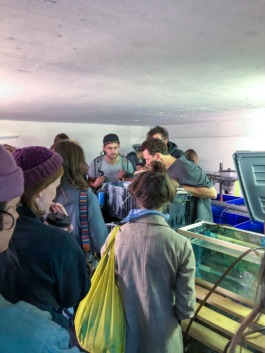 burg giebichenstein kunsthochschule halle industrial design experimental design methods