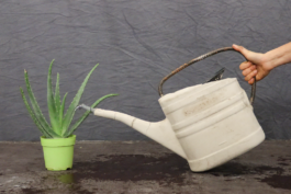 burg giebichenstein kunsthochschule halle  industrial design experimental design methods