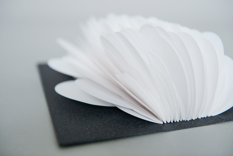 Diplomarbeit von Patrizia Meinert „t=turning the pages“– fünf Bücher über die Zeit im Buch: „Intuition“. Foto: Felix Adler
