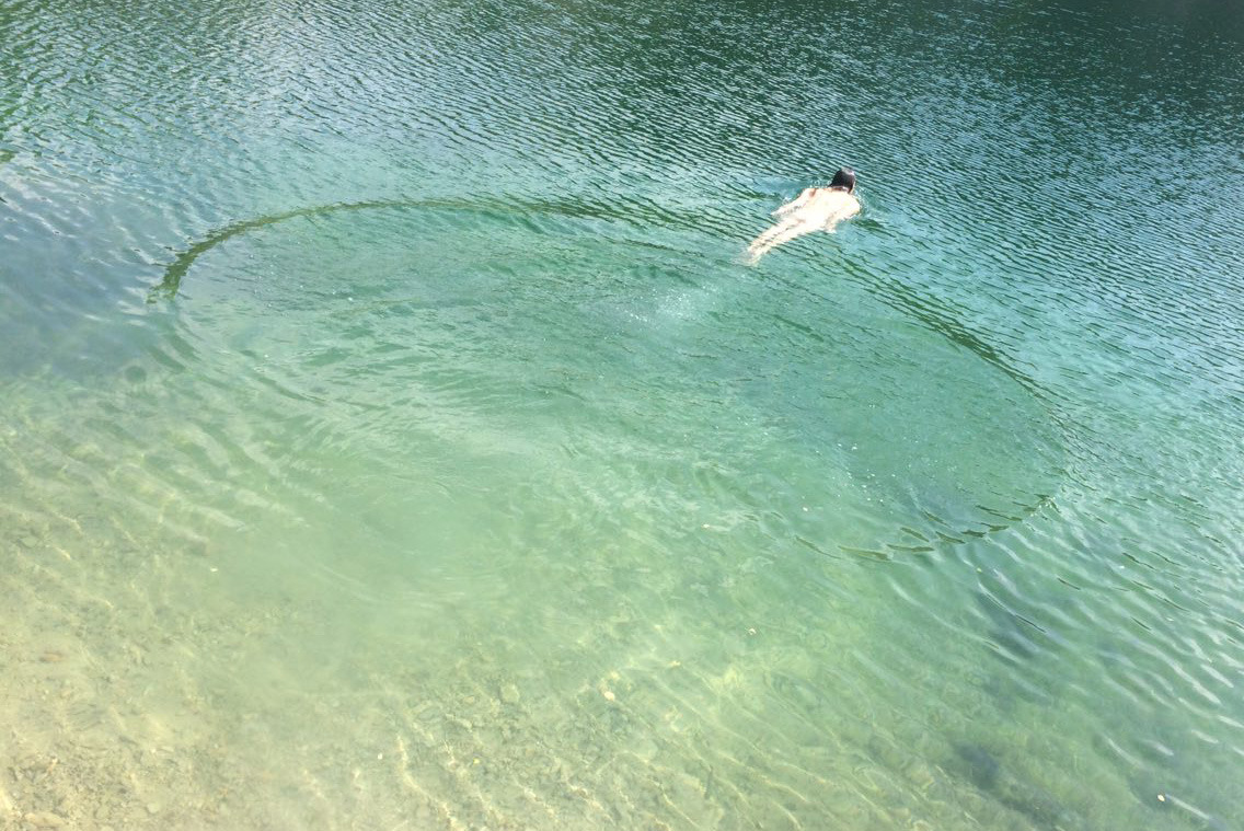swim_still