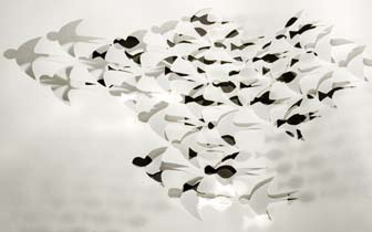 Stefanie Kullick, Transit