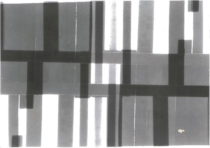 Julia Lansmann, Analog