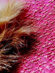 Luise Wonneberger, Alles Rot