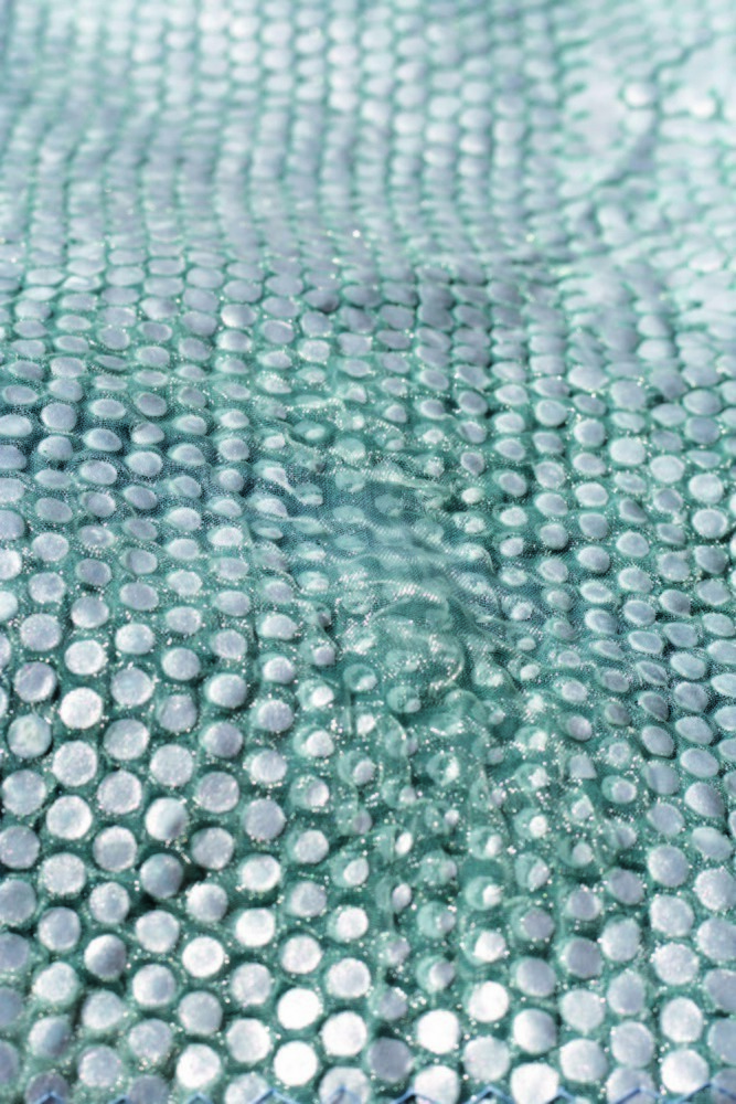 Fischmetaphorik, Sabine Straube