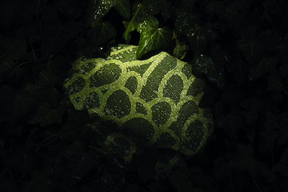 Designers' Open 2015: trial error &
