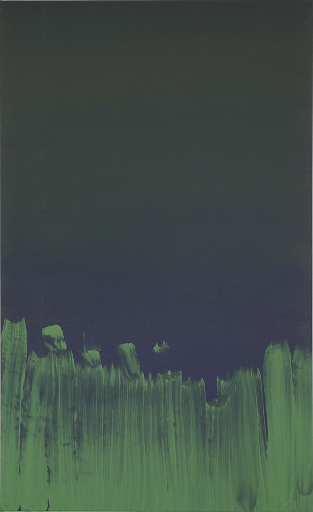 o.T., 2016, Pigmentfarbe auf Leinwand, 155  x 95 cm