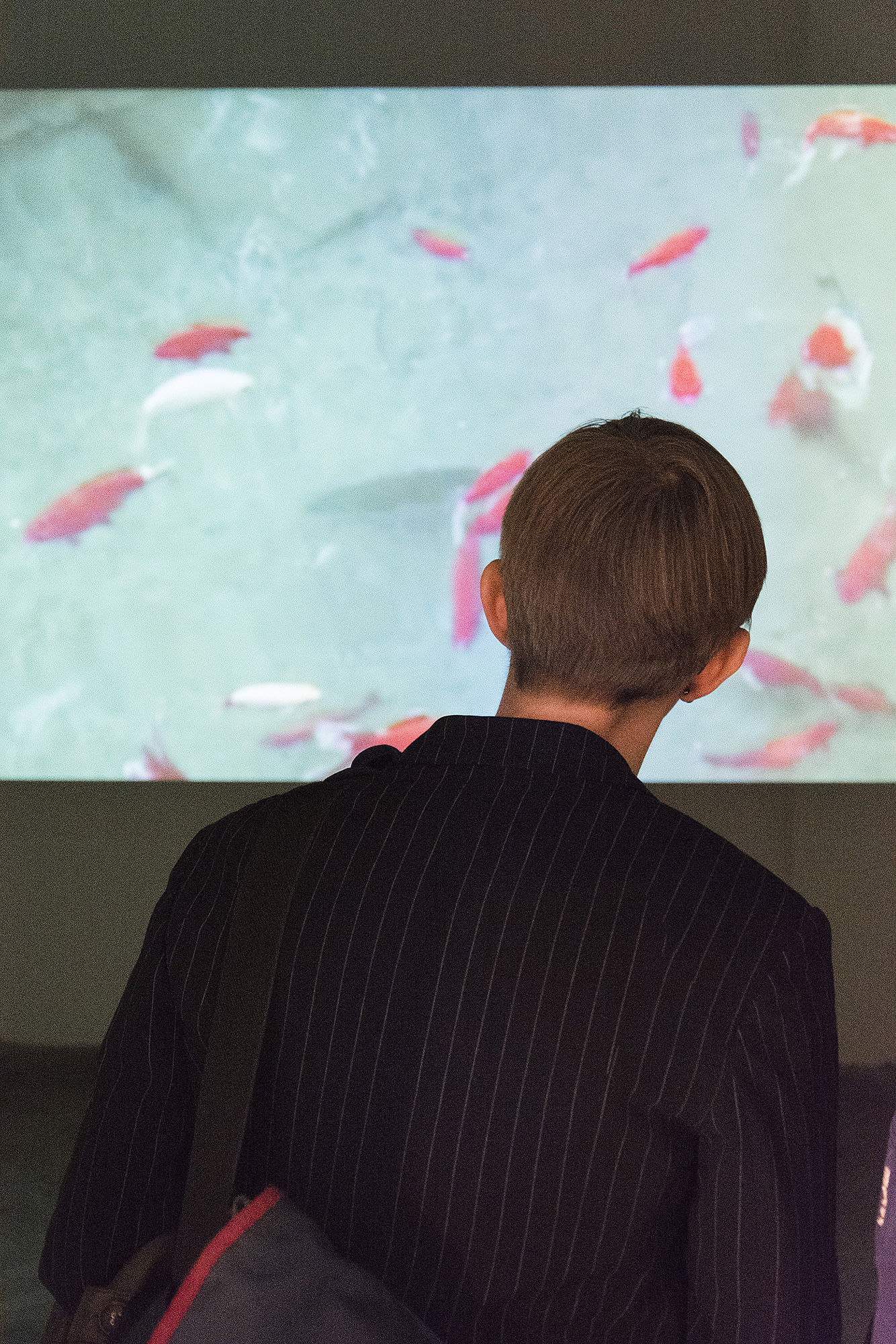 Ausstellungsansicht, Film: "Unterricht in Tianjin, Academy of Fine Arts, China"; Foto: Etienne Dietzel