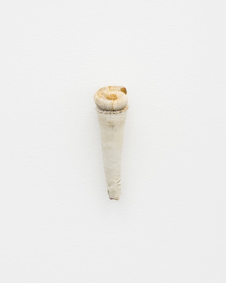 Nina Canell, Tailings 2023