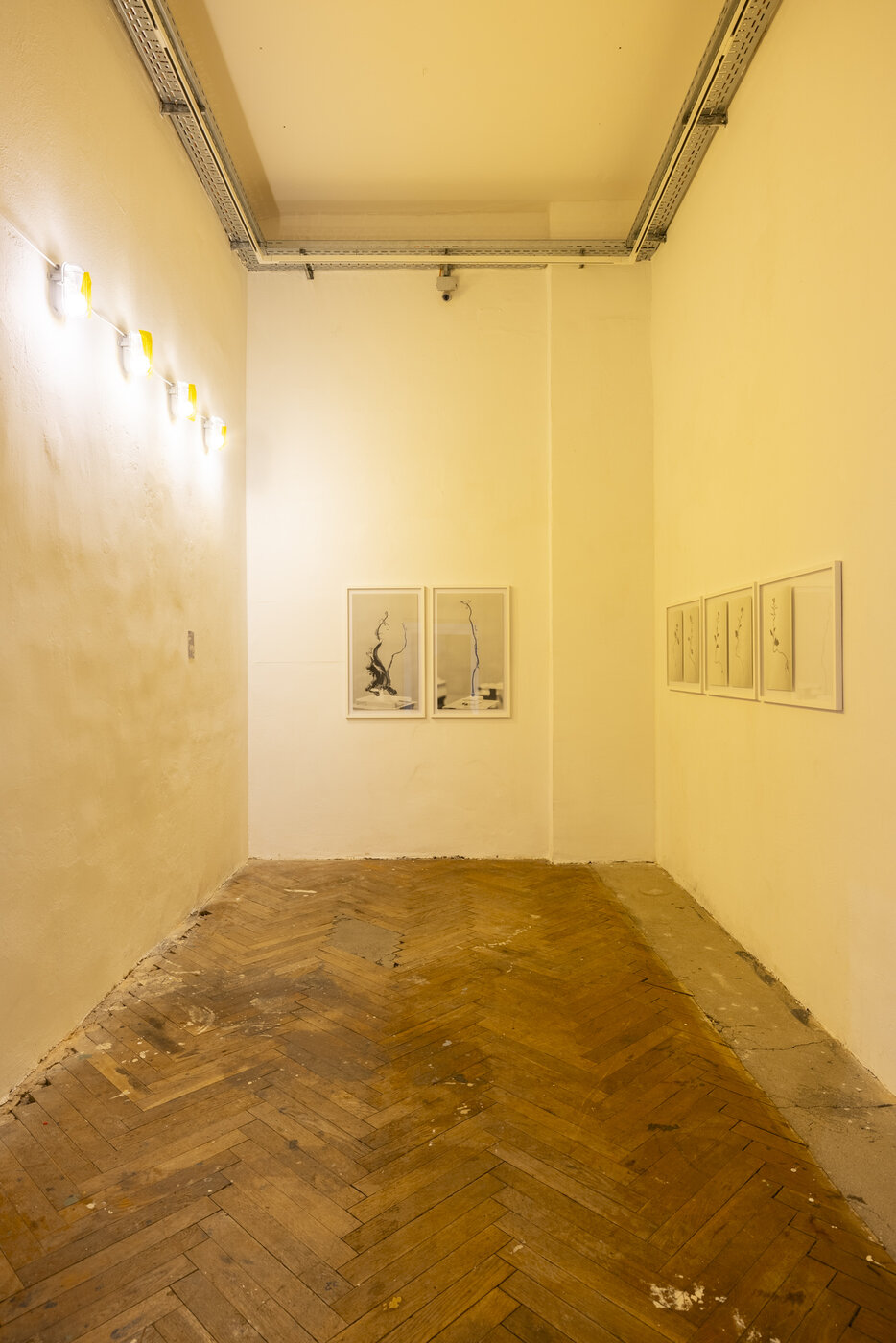 Felicitas Faessler, Residues