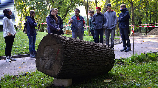Herbstsessions: Kettensägen Workshop - Organisation Pavel Majrych und MAKE.