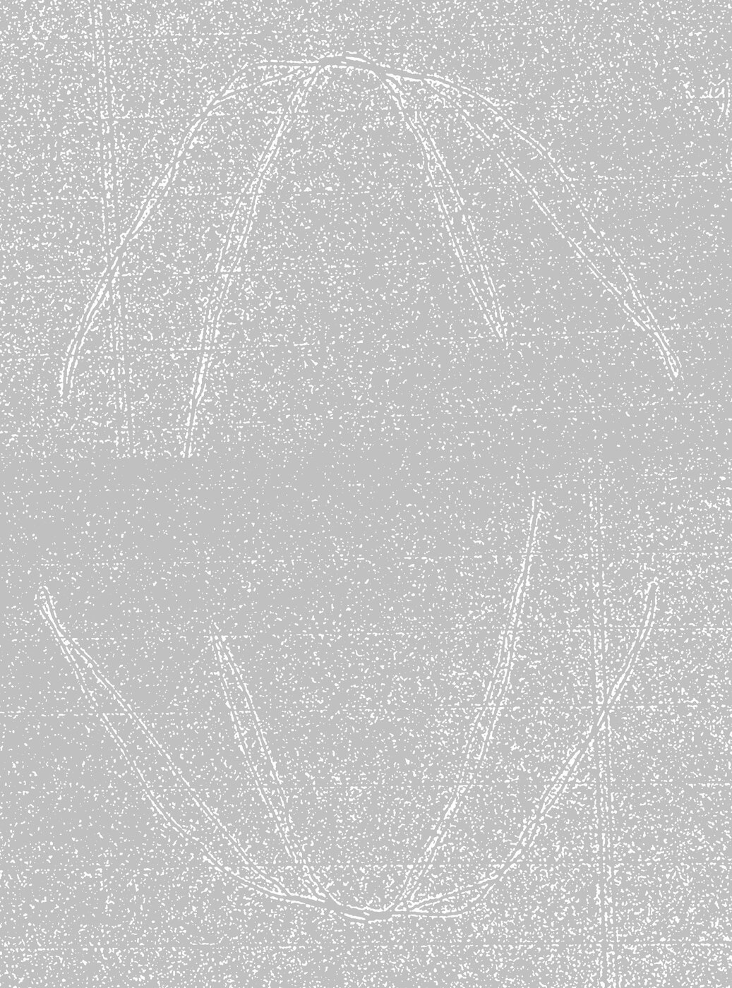 ‘netz/nest’ von Tamara Hildebrand Bild) Tamara Hildebrand