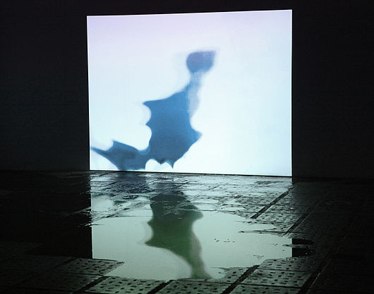 Therese Lippold, „GESTALTEN“, Videoarbeit 1min30s Loop, Projektionsgröße 3x4 m, Wasserfläche 3x4m (beides variabel) Winter 2012/13