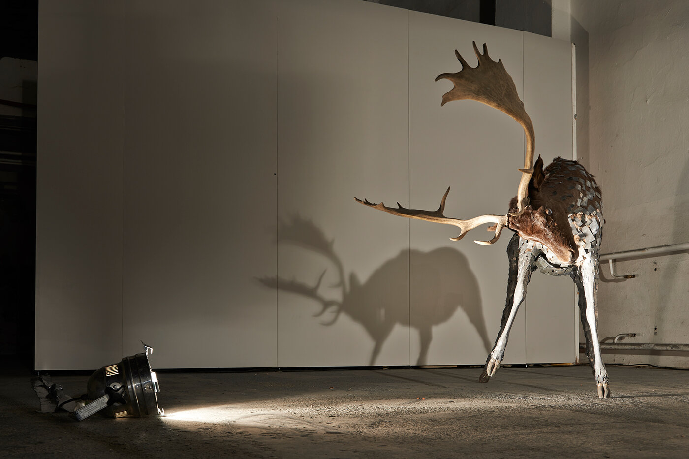 Foto: Sascha Linke