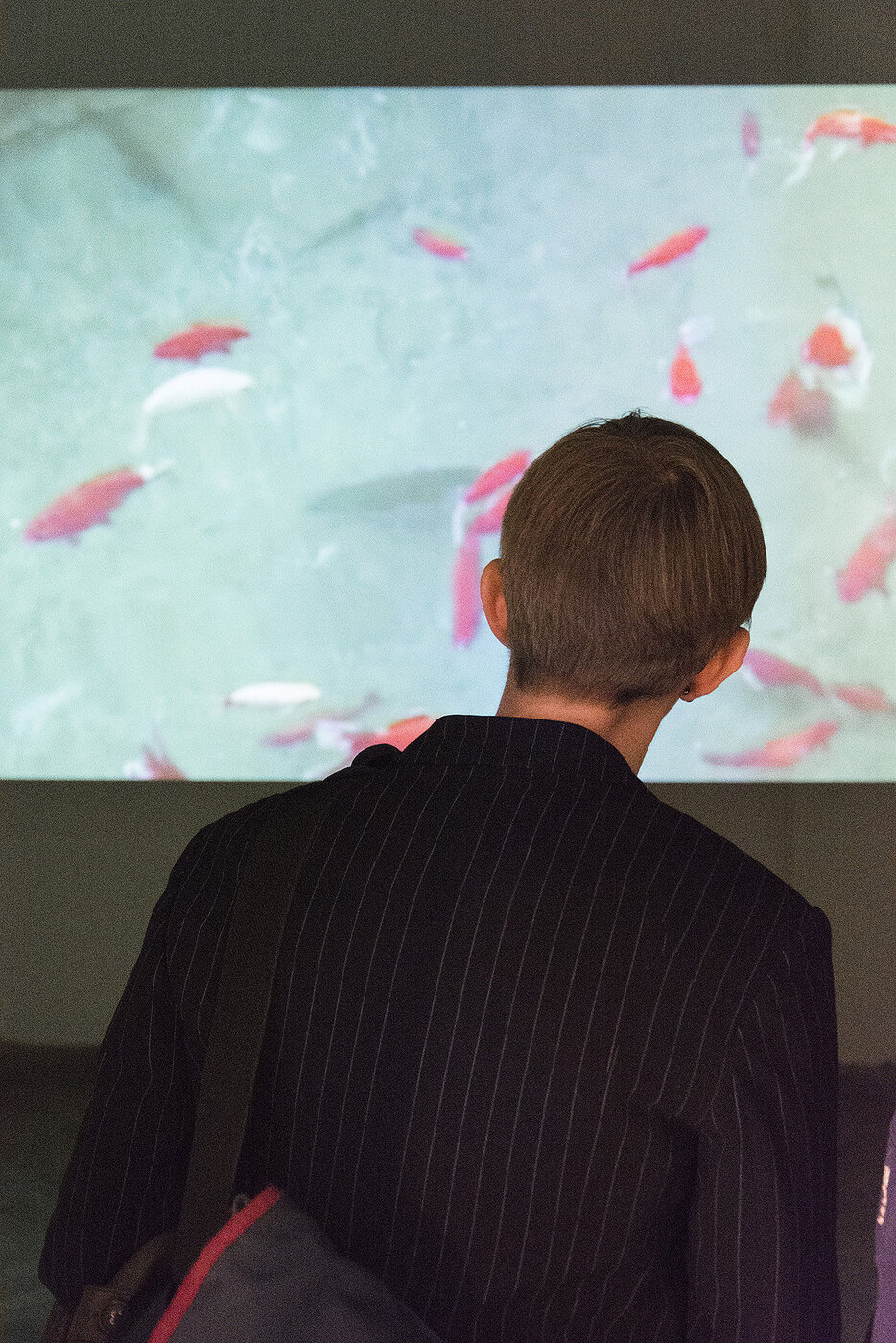 Ausstellungsansicht, Film: "Unterricht in Tianjin, Academy of Fine Arts, China"; Foto: Etienne Dietzel