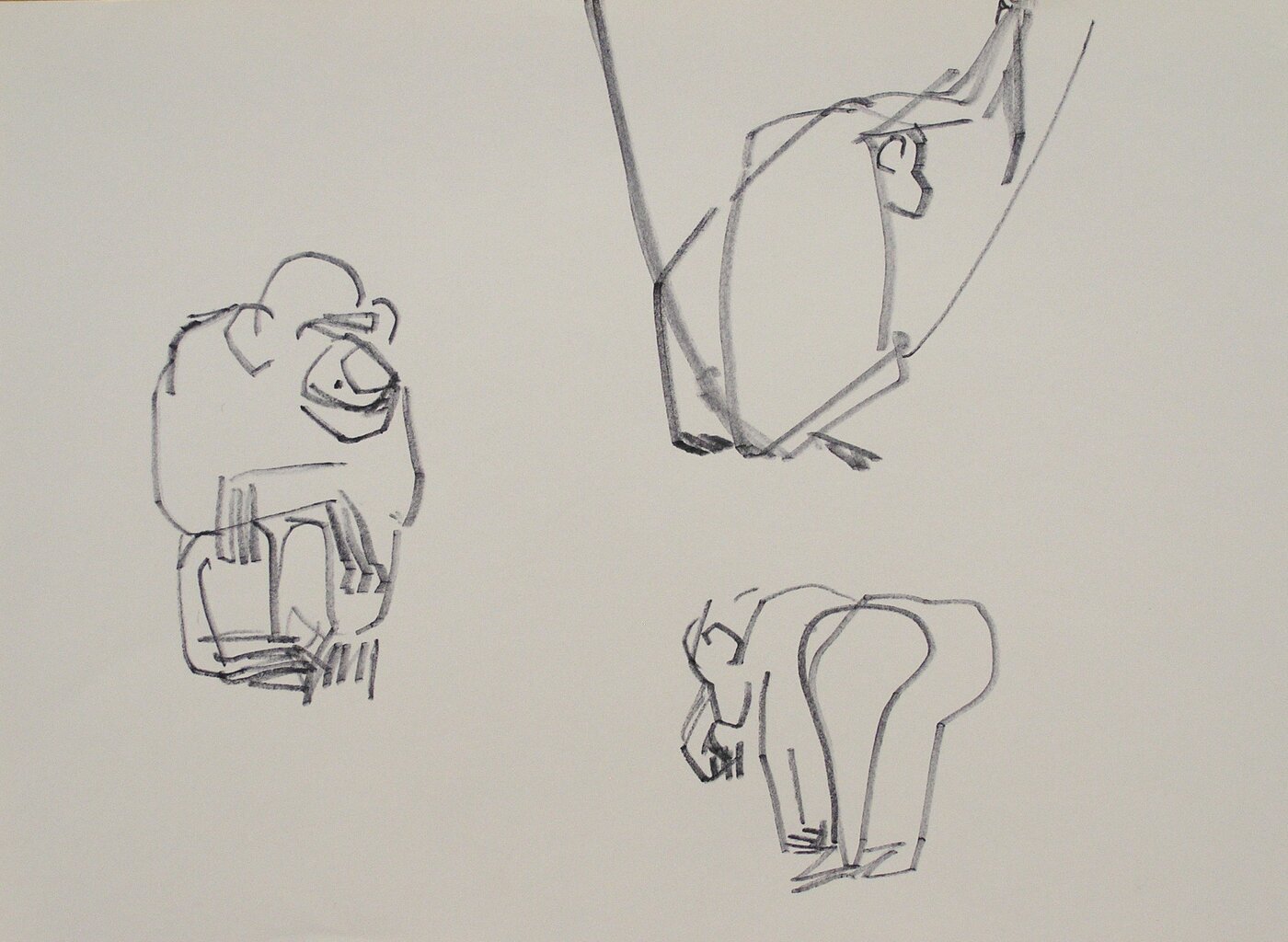 Lukas Adolphi, Kommunikationsdesign