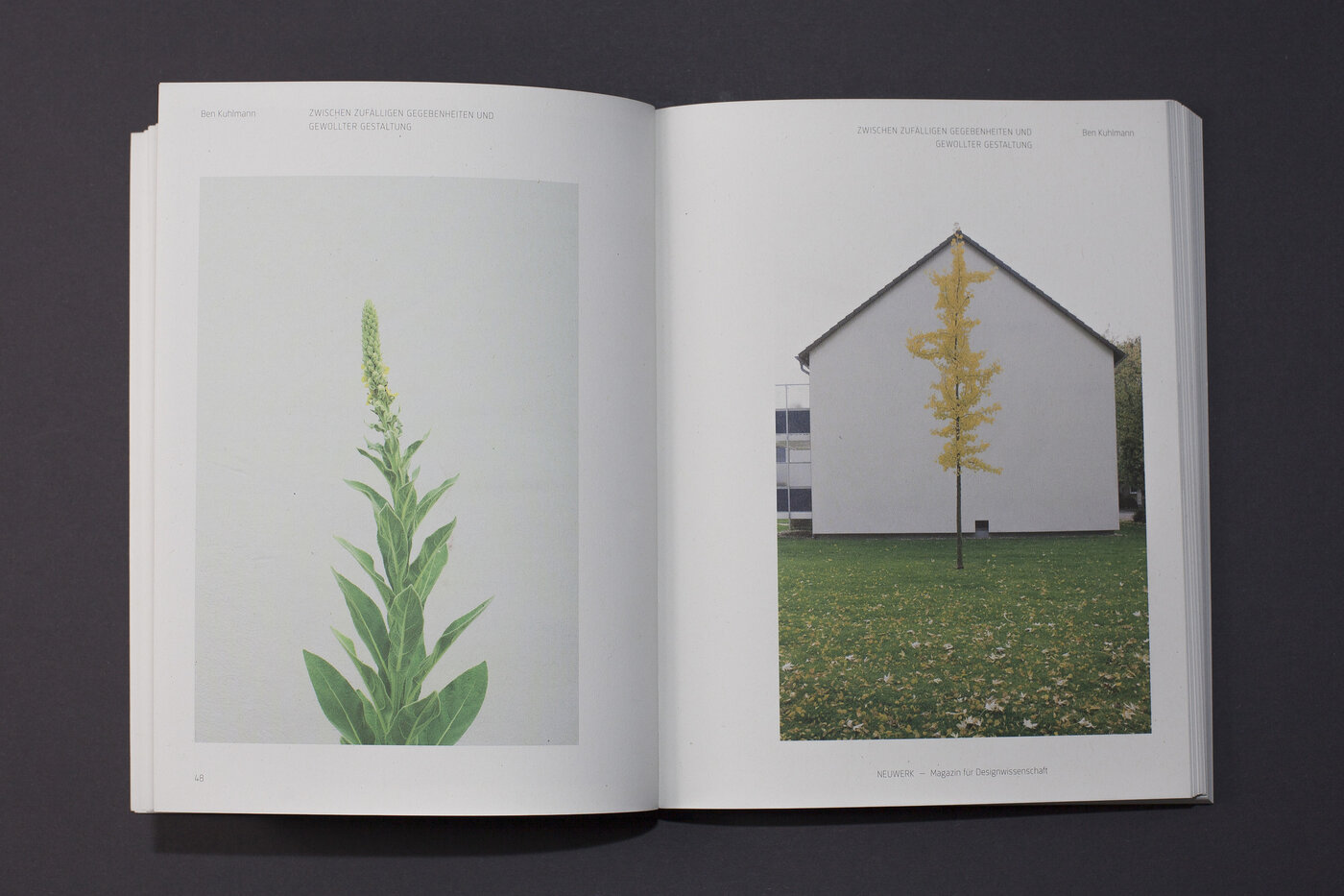 Neuwerk-Magazin Nr. 4: Stille. Foto: Yvonne Most
