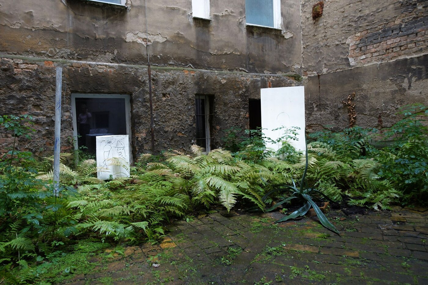 Ausstellung von Grafikstudentin Levke Schramm.  Foto: Levke Schramm