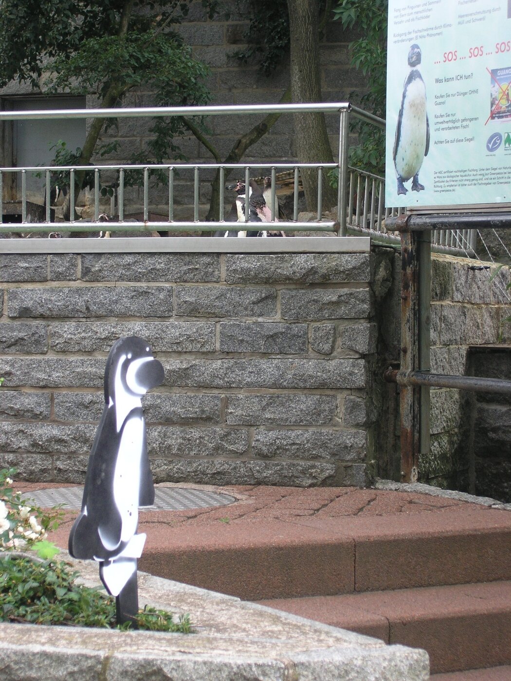 Falscher Pinguin begegnet Artgenossen // Florian Schregelmann und Franziska Zeller