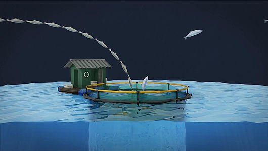 Screenshot aus dem Film „Überfischung der Meere“ von Uli Streckenbach
