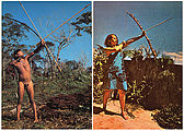 Anna Bella Geiger, Native Brazil/ Alien Brazil, 1976/77