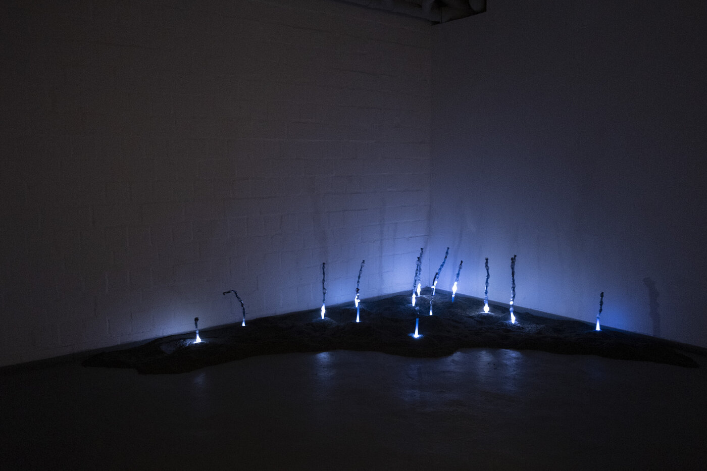 Beleuchtete Glasrohre 