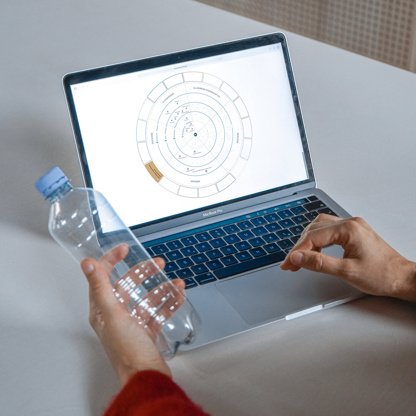 Radiale Ansicht der Datenbank entlang der Lebenszyklusphasen mit Filteroption nach R-Strategien und Sustainable Development Goals