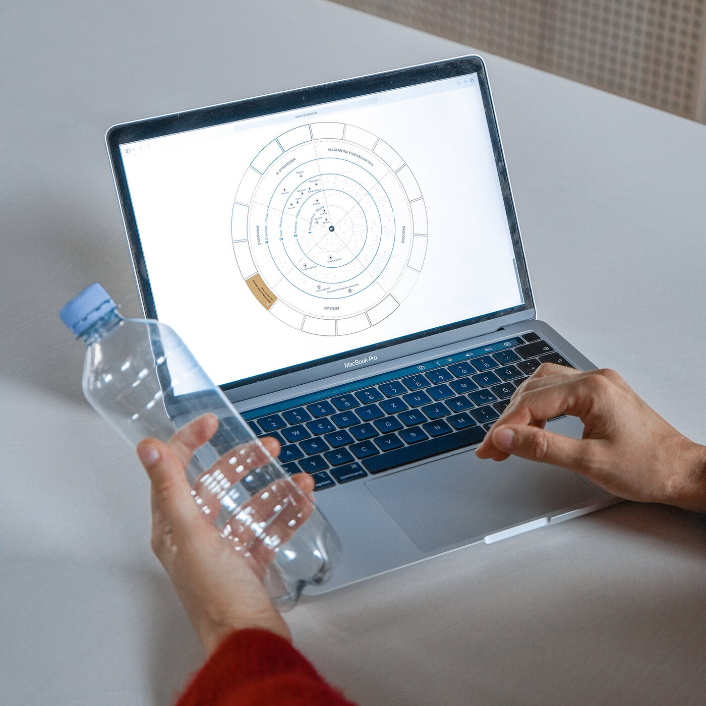 Radiale Ansicht der Datenbank entlang der Lebenszyklusphasen mit Filteroption nach R-Strategien und Sustainable Development Goals
