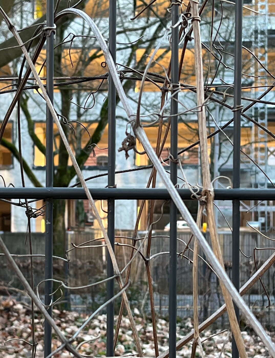 Gebäude hinter dem Zaun