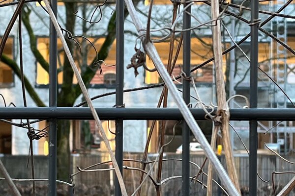 Gebäude hinter dem Zaun