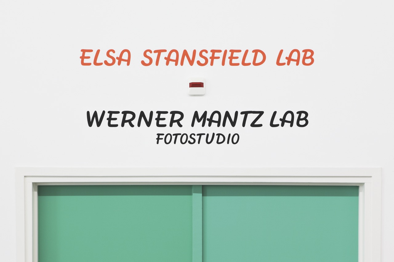 Hagen Verleger: Elsa Stansfield Lab; orangefarbene Vinyllettern, ca. 15 cm × 110 cm, 2017.
